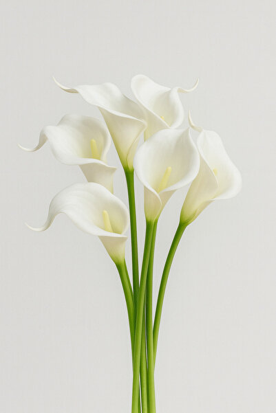 Massaltay 4’lü Gala Çiçeği Demeti – Gerçekçi Yapay Çiçek, Vazoda Dekoratif Ma...