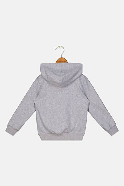 Sonic Toddlers Boy Graphic Print Long Sleeve Hoodie, Grey