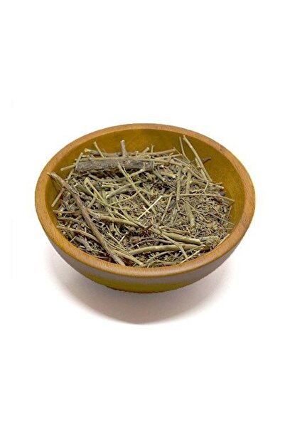 Nature Spirit روح الطبيعة -سذاب