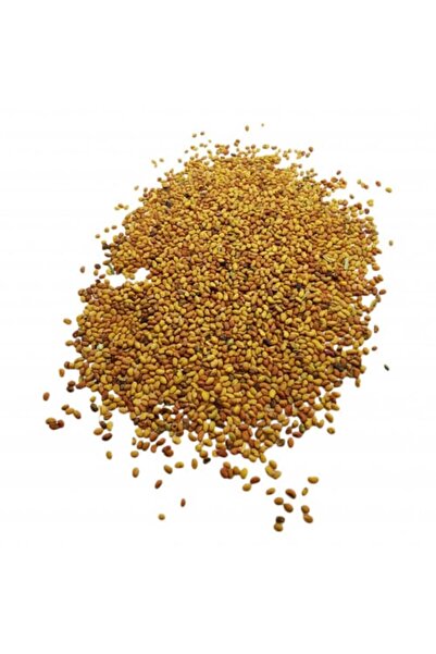 Nature Spirit روح الطبيعة - بذور البرسيم 100 جرام