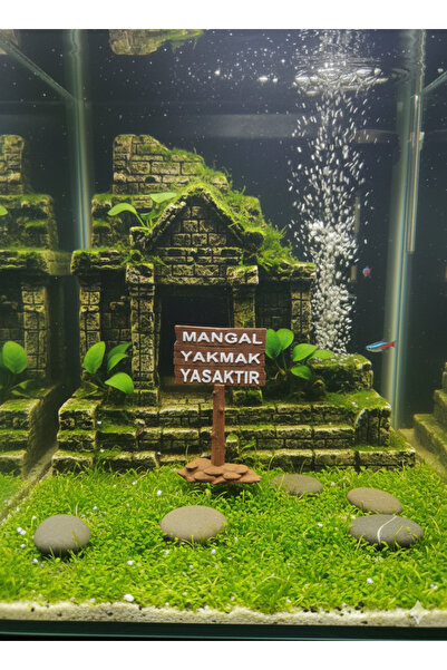 ETK-3D Akvaryum tabela dekoru 8x5 cm 3'lü Set myy- bty-yak