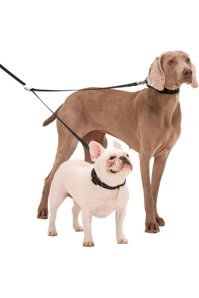 Teo Adjustable Webbing Dog Leash – Multifunctional Reflective Training Lead (Royal Blue, 2.5x120-2