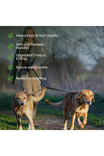 Teo Adjustable Webbing Dog Leash – Multifunctional Reflective Training Lead (Royal Blue, 2.5x120-2