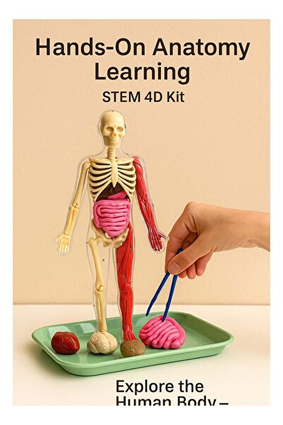 Generic robotgcc 4D Glow-in-the-Dark Human Anatomy Model Kit – Full Skeleton + Soft TPE Organs + Science T
