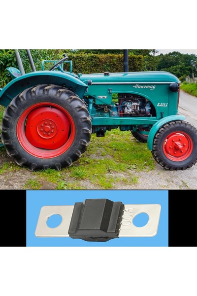 OEM ANS 100A car fuse