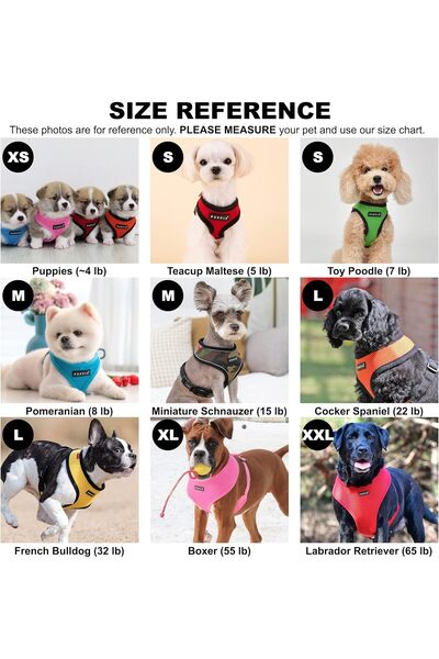 puppia Soft Dog Harness, Sky Blue, Medium