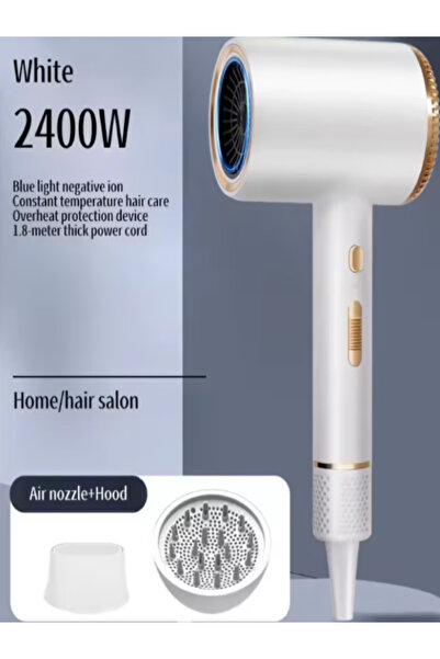 OEM Hair dryer, 2400 W power, 3 speeds, powerful motor, ionic air, compact design, White/Gold