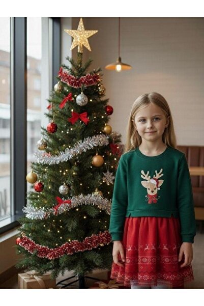 Zekids Girl's Christmas Themed Dress with Deer and Crown Gift