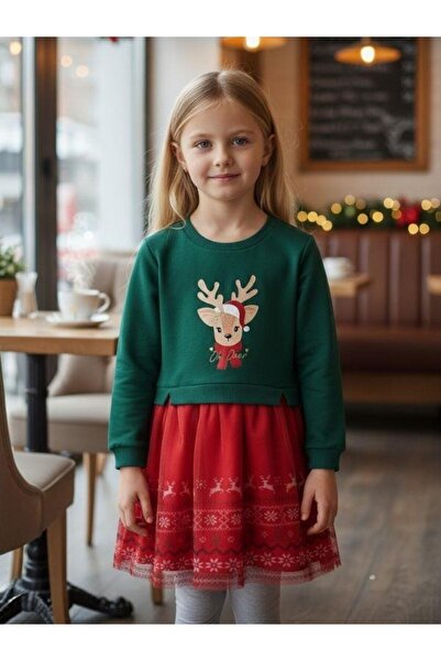 Zekids Girl's Christmas Themed Dress with Deer and Crown Gift