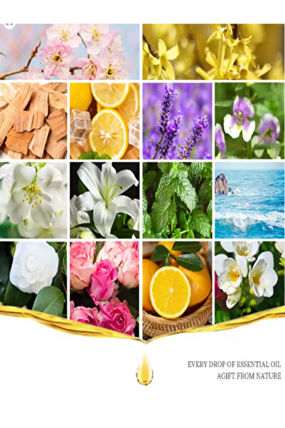 OEM Freesia Essential Oil 10ml – Floral Aroma, Well-Being and Natural Freshness Aromatherapy