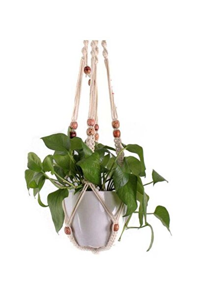 Generic Hanging Basket Plants Flowers Pot White