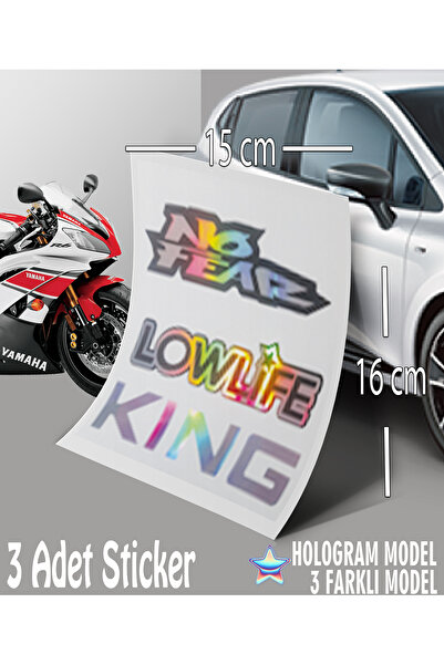 Automod ملصق فاير لو كينغ - ملصق هولوغرام - ملصق كتابة ثلاثي الأبعاد متوافق م...