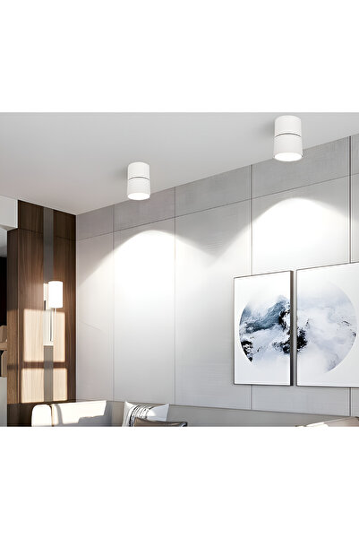 luminastar Spot type lighting fixture, adjustable 180° on two axes, 12W, white