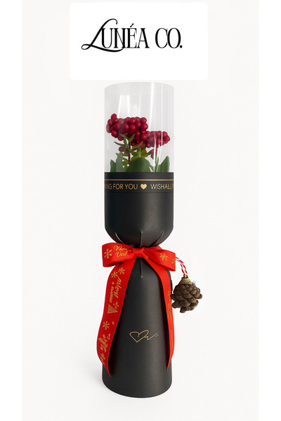 Lunea Co Yılbaşı Temalı Tekli Çiçek Buketi – Kokina & Çam Kozalağı – Dekorati...