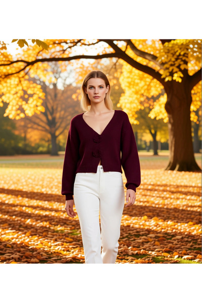 BENERLY Γυναικεία ζακέτα με κανονική εφαρμογή, λαιμόκοψη V, μανίκια μπαλόνι κ...