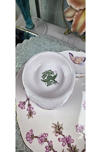 Tuscan Porcelain Hand Painting Cup