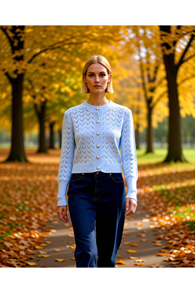 BENERLY Women's Lace-Like Knit Zigzag Patterned Crew Neck Long Sleeve Crop Cu...