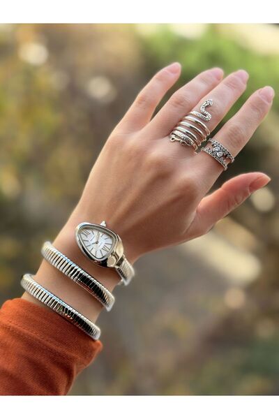 Ferrucci Women's Snake Watch, in Gift Box, Steel Band, Silver Color, with Bracelet Gift