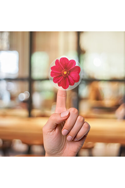 Yuesgo Minimal Şeffaf Çiçek Etiketleri | Hediyeye Şıklık Katan Set 93 adet 2....