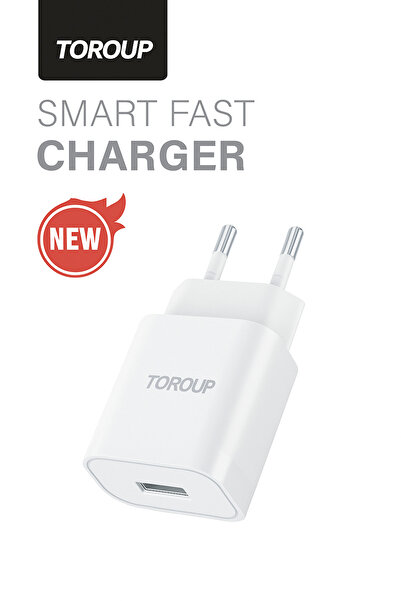 Toroup TTE-N26 fast charger, 2.4A, USB, universal