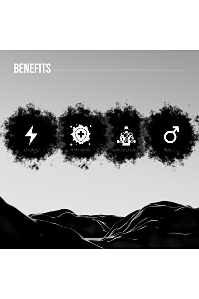 Zenessy Shilajit 30g, pure Himalayan resin, 60 servings, energizing, immunity