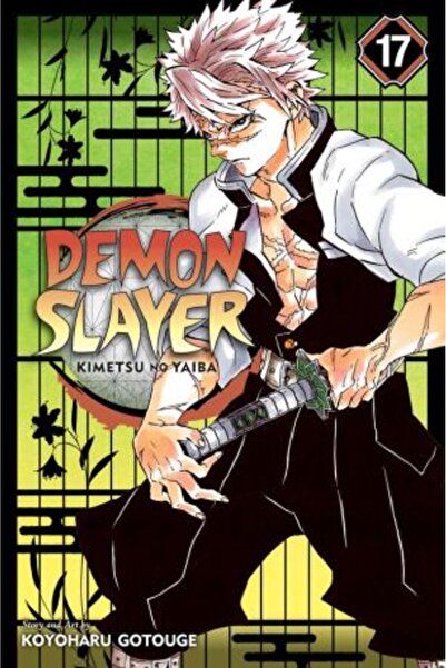 Viz Media Demon Slayer: Kimetsu no Yaiba Vol. 17
