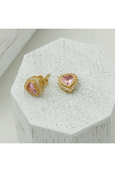 Hediyesepeti Stylish Pink Stone Zircon Heart Silver Earrings
