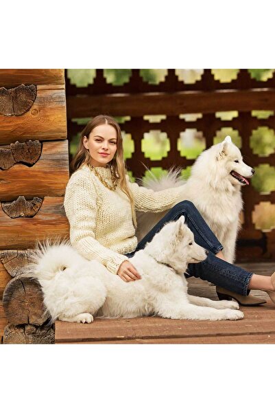 Himalaya Combo 52704