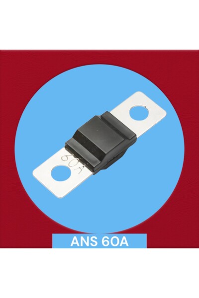 OEM ANS 60A car fuse