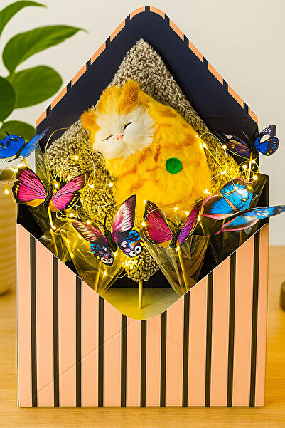 zozoya Led Işıklı Kelebek Buketi & Led Işıklı Kedi Buketi Miyavlayan Kedi