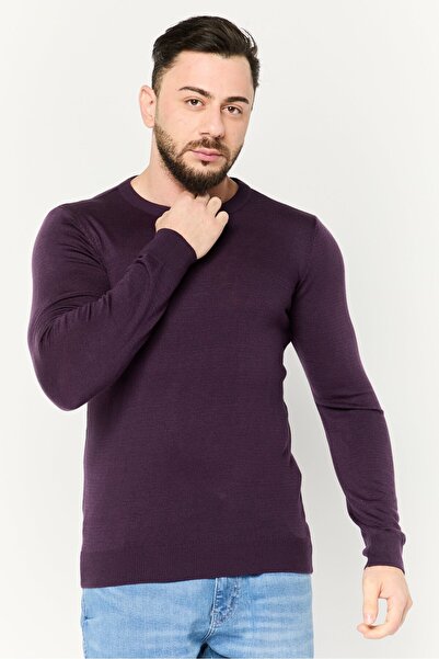 Trendyol Collection Men Crew Neck Plain Knit Sweater, Purple
