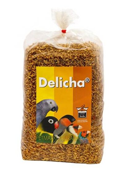 FLORALİA بذور عشبة الديليشا 1 كيلو