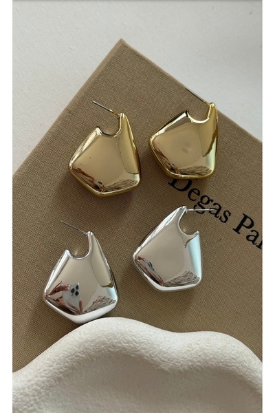 Vi store Steel Jen Earrings