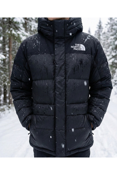 THE NORTH FACE Water and Cold Resistant Winter Coat Colorful