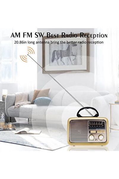 Cady One A portable Bluetooth radio with a USB port, memory card slot, headphone jack, and built-in flashlight.