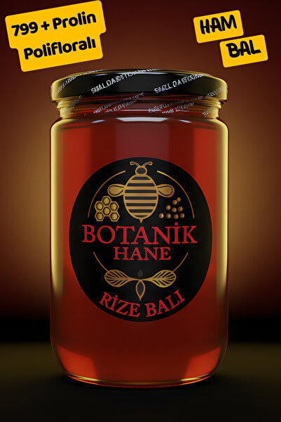 BOTANİKHANE 850 GR RİZE BALI