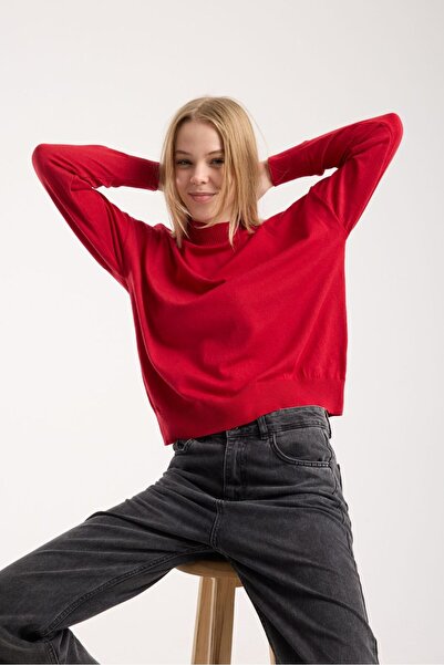 sumoda Women's Knitwear Sweater Soft Texture Mock Neck Basic