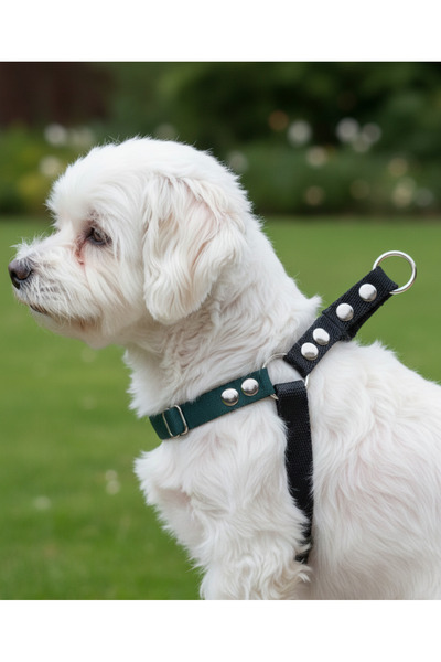 balkonda Dog Collar Small and Medium Breed Adjustable Column Cord