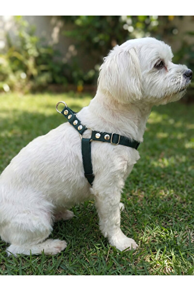 balkonda Dog Collar Small and Medium Breed Adjustable Column Cord