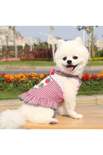 OEM Cute, comfortable summer jumpsuit for small and medium pets, 224A01