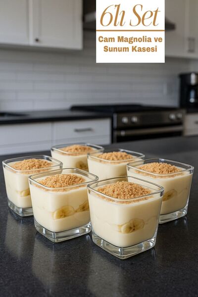 Funny Life Büyük Boy Cam 6'lı Kare Magnolia Dondurmalık Seti - Kalın Cam Magn...