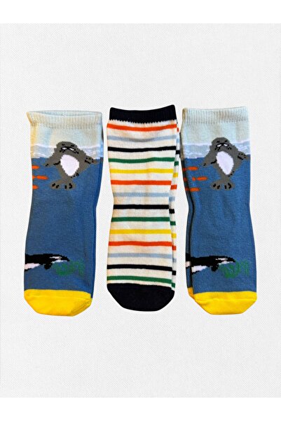 Fil Kids Erkek Bebek Kışlık Çorap Pamuklu Kumaş 3'Lü Fok Balığı Desenli Mavi ...