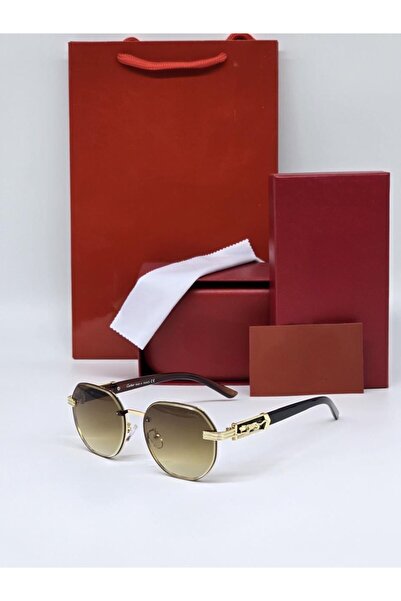 Generic Sunglasses with a case, bag, and card; luxurious design, very nice