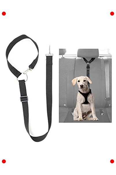 markentegra Pet Vehicle Seat Belt Leash