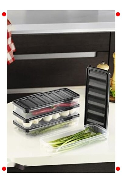 232premiumquality Multi-Purpose Storage Container Set of 4 (Anthracite)