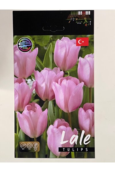 ŞAFAK PEYZAJ TOHUMCULUK Lale Çiçeği Soğanı Hollanda İthal Lale 10 Adet