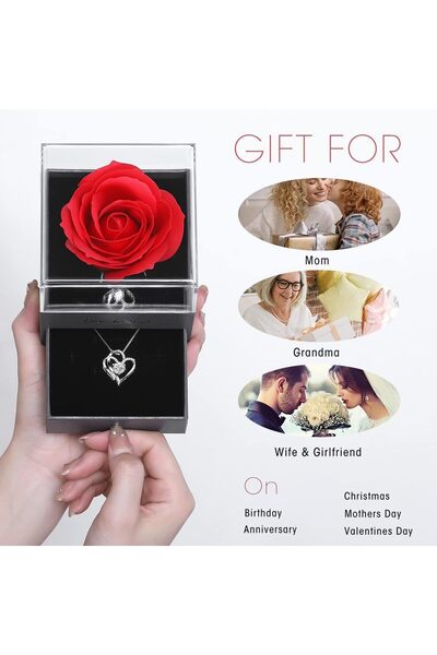 X SPRING Preserved Rose, Forever Rose with Heart Necklace Gift Set