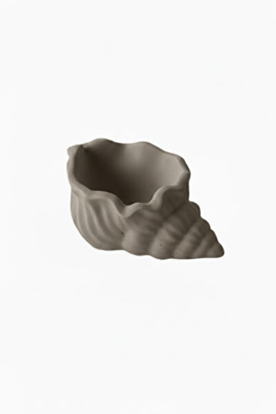 Sealia Sea Shell Tray / Deniz Kabuğu Dekoratif Tabak