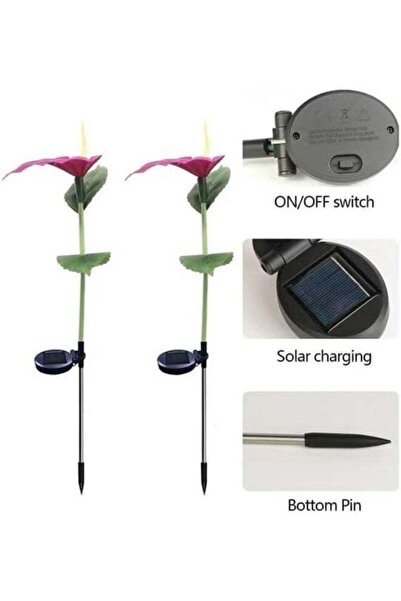 Generic 1 Set Of 2 Solar Horseshoe Flower Decorative Lights, Adjustable, Colorful, for Garden & Road side