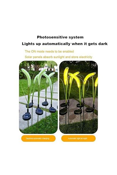 Generic 1 Set Of 2 Solar Dog Tail Light, Adjustable, Warm White - Garden & Roadside Decoration